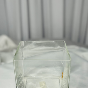 SQUARE GLASS VASE